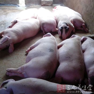 推进全面从严治党向纵深发展_时事政治_中公教育网【AG亚娱集团】