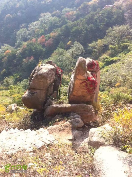 爱国,是人世间最深层、最持久的情感_时事政治_中公教育网|AG亚娱集团(图2) AG亚娱集团