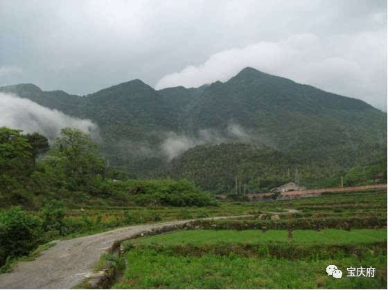 爱国,是人世间最深层、最持久的情感_时事政治_中公教育网|AG亚娱集团(图3) AG亚娱集团