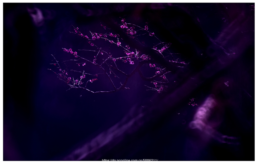 金塔公安党建联盟锻造政治精兵【ag亚娱官网】(图2) ag亚娱官网