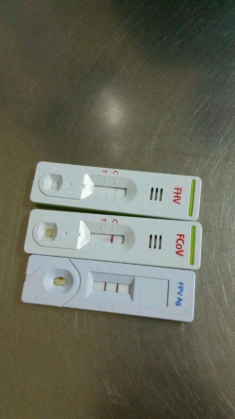 从“四个自我”的高度自觉推进自我革命_时事政治_中公教育网_AG亚娱集团官方(图3) AG亚娱集团