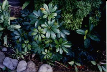 AG亚娱集团-2015年我国防火门行业质量问题(图2) ag亚娱官网