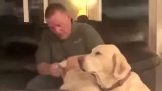 以监察立法为契机深入推进反腐法治化_时事政治_中公教育网|AG亚娱集团