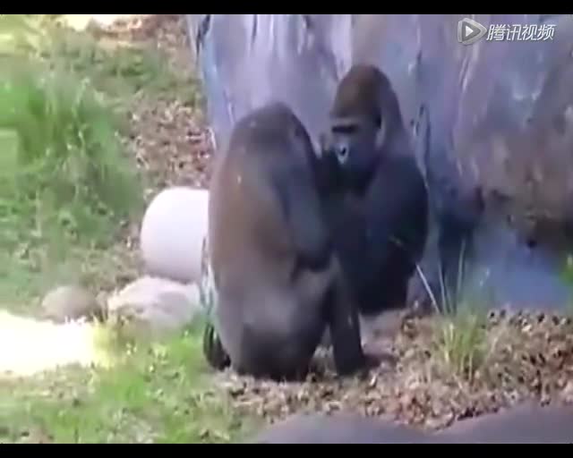 【ag亚娱官网】AI互动、人工智能、数字文物……科技+艺术惊艳十足,中国(青岛)艺博会开幕