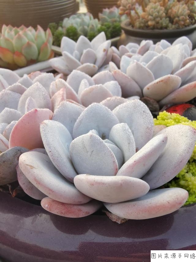 城镇化“虚胖”其实是一种“政绩病”_时事政治_中公教育网-ag亚娱官网(图2) AG亚娱集团官方