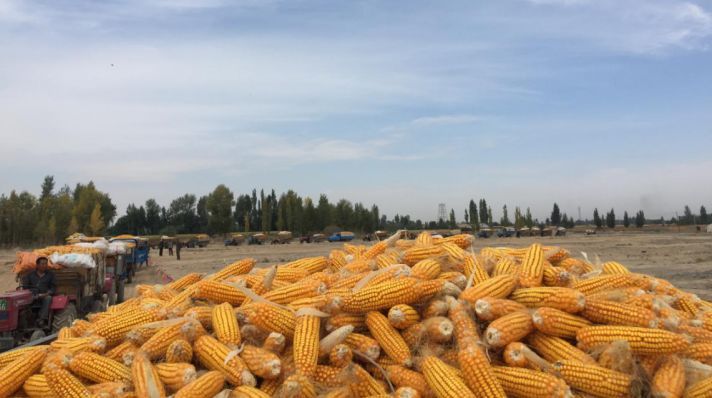 AG亚娱集团官方|国锦华绣CEO岳兰若:专注领袖教育,全球合作伙伴公布(图2) AG亚娱集团官方