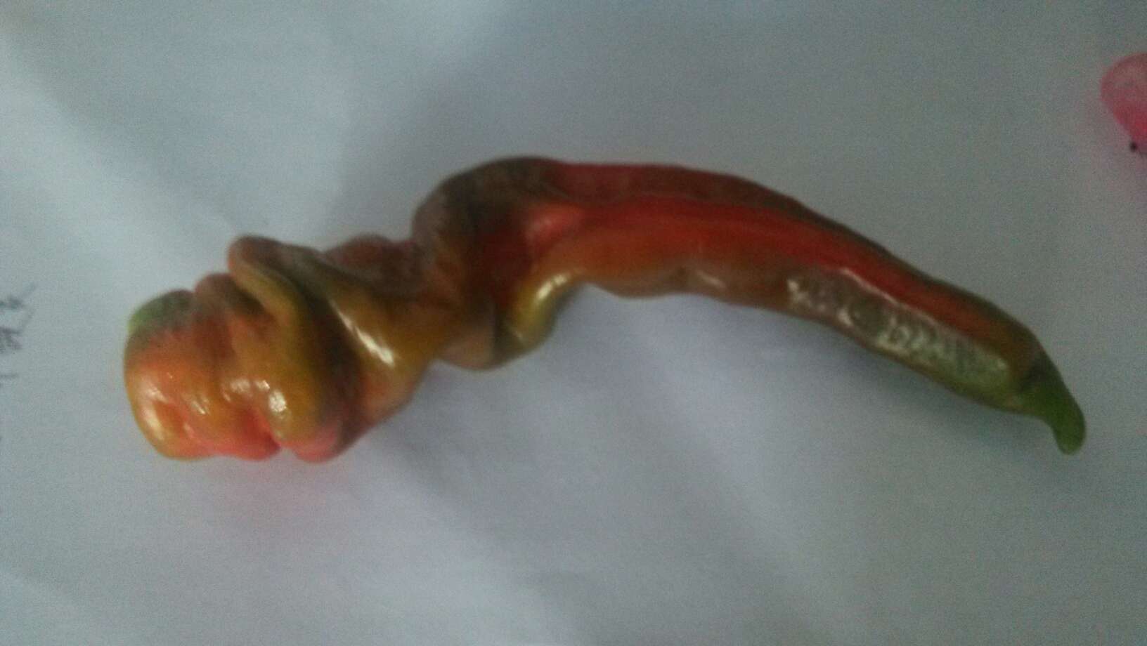 “ag亚娱官网”
#过年不忘消防宁静#年货清单里可以加上这套家庭灭火器材哦!(图2) ag亚娱官网