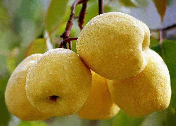 2021年,媒体和受众的8大变化_AG亚娱集团