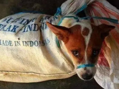 AG亚娱集团官方|
图片新闻(图5) AG亚娱集团