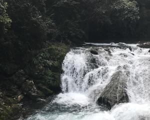 ag亚娱官网|“不干事”的“泥菩萨”当戒_时事政治_中公教育网