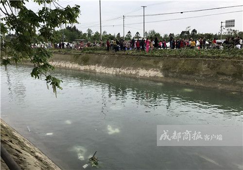 【AG亚娱集团】
天天监测超10T数据 他们用盗版维权+正版分发撬动6000亿版权工业