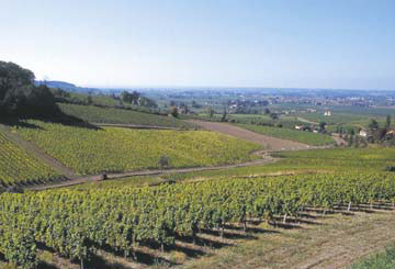 AG亚娱集团官方:
大鱼号开通原创有什么利益?(图5) AG亚娱集团