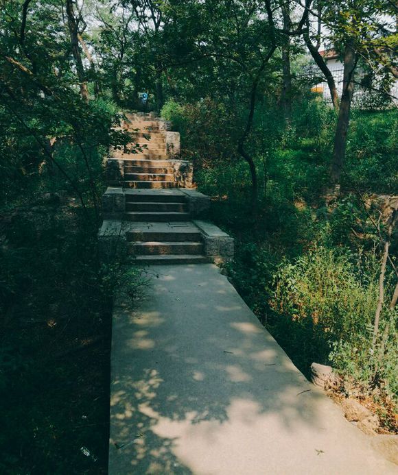 广元朝天区财政局持续巩固良好政治生态：AG亚娱集团