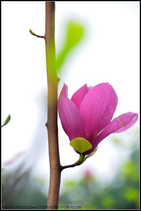 ag亚娱官网_把初心和使命转化为实际行动_时事政治_中公教育网