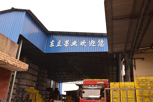 省委第一巡视组到市纪委监委调研指导工作-ag亚娱官网