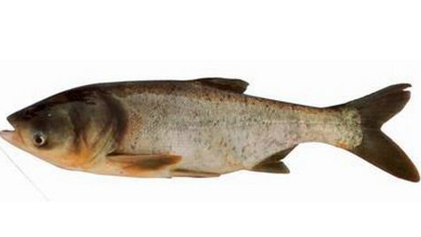 岳阳消防突击检查人员密集场所 责改6处火患“AG亚娱集团官方”(图3) AG亚娱集团