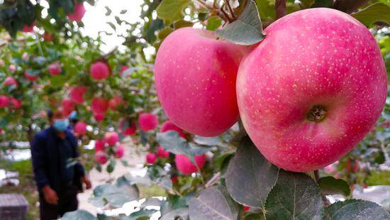 疆内外16家媒体采访团来阿克苏开展专题宣传报道运动-AG亚娱集团(图2)
疆内外16家媒体采访团来阿克苏开展专题宣传报道运动-AG亚娱集团(图2)