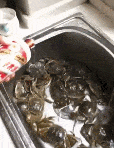 
搞笑GIF：你们喜欢这个小姐姐蜘蛛侠吗？最近其他平台都很火 -AG亚娱集团(图4)