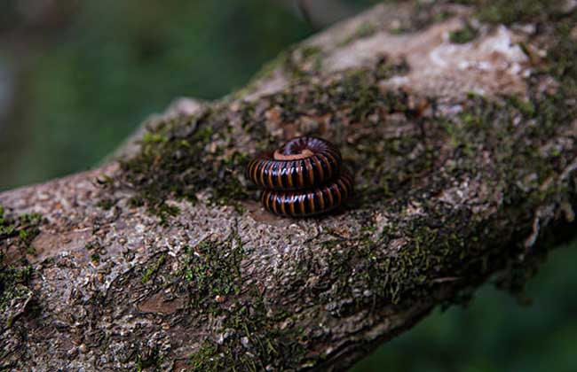 【AG亚娱集团官方】
万宁市人民检察院融媒体事情室挂牌建立(图12) AG亚娱集团