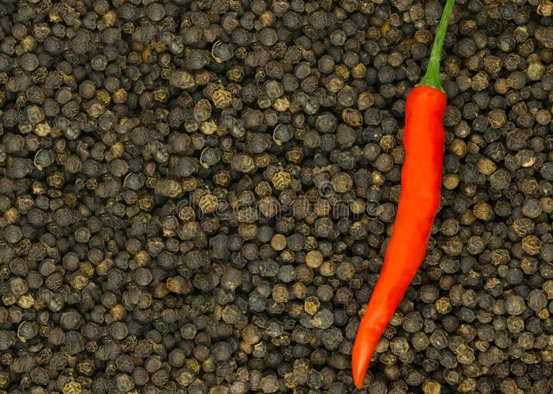 重新定义海淘新生态——折疯了海淘“ag亚娱官网”