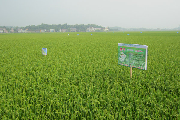 追求“我将无我”的精神境界_时事政治_中公教育网-AG亚娱集团官方