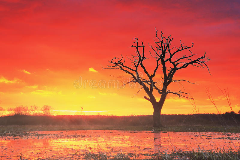 锡林郭勒开展“快递哥消防宣传公益使者”活动“ag亚娱官网”