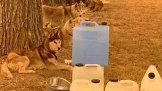 AG亚娱集团官方