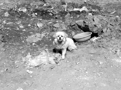 AG亚娱集团：贵州应急管理系统春节全员在岗