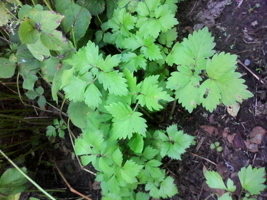 AG亚娱集团_烟花爆竹安全隐患多 石峰多部门联合夜查销售点