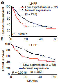AG亚娱集团_
公共新款跨界车型曝光 基于Nivus打造 搭1.0T+6AT