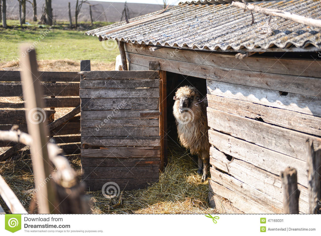 ag亚娱官网|甘肃省力保春节消防和道路交通安全(图3) ag亚娱官网