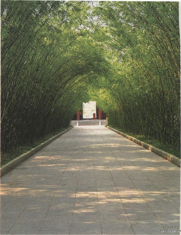 ag亚娱官网|甘肃省力保春节消防和道路交通安全(图2) ag亚娱官网