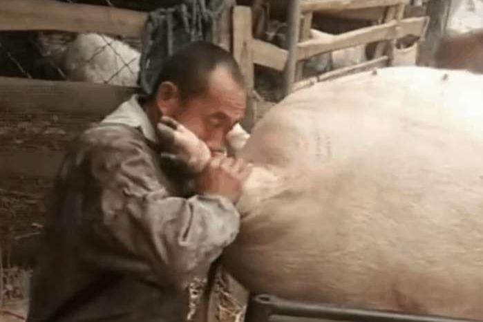 “一带一路”为上合组织开新篇_时事政治_中公教育网‘AG亚娱集团’