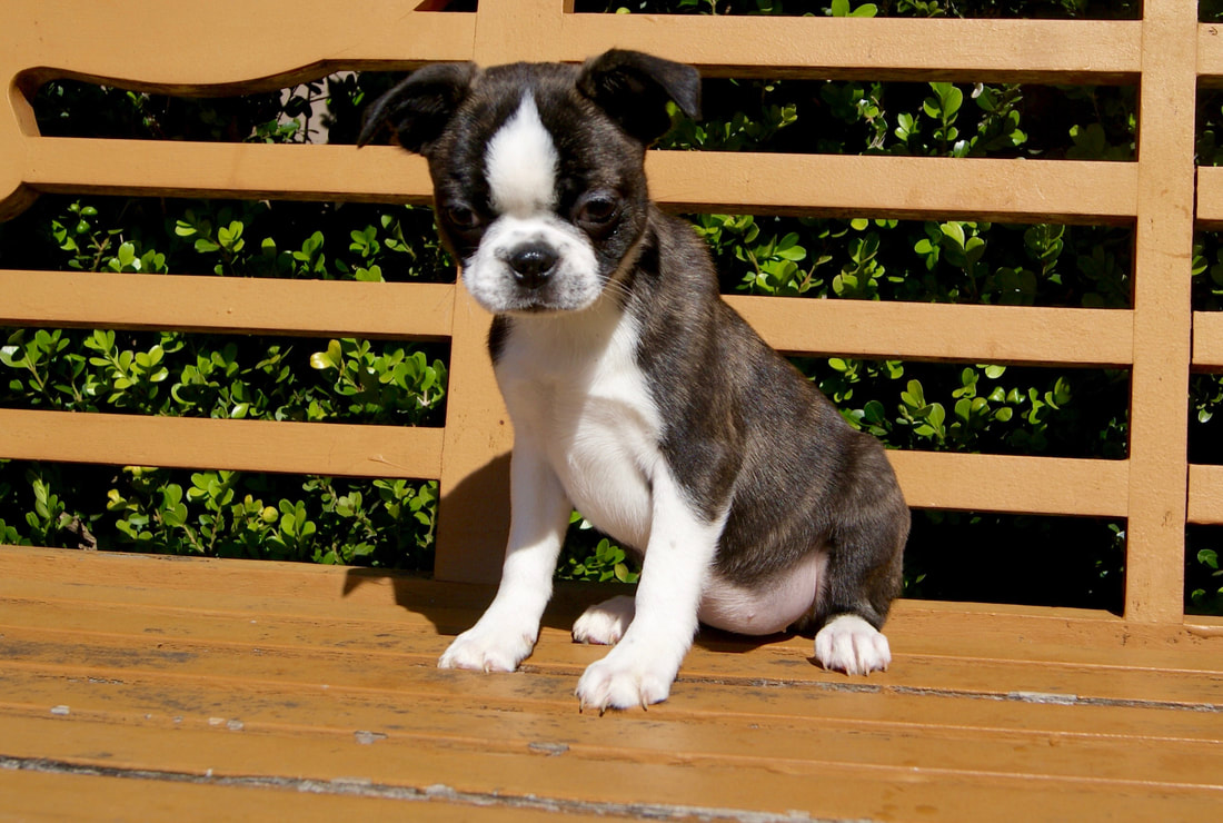 AG亚娱集团-今年1至8月森林草原防灭火形势总体稳定(图4) AG亚娱集团