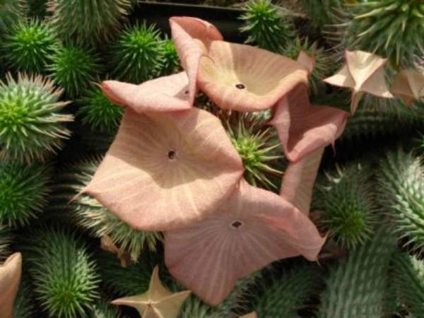 AG亚娱集团|广西矿难现场:救援昼夜不停 为素未谋面的兄弟(图3) AG亚娱集团官方