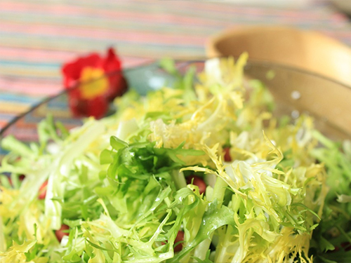 AG亚娱集团官方-云南孟连县组工干部谈“政治掮客苏洪波”：歪门邪道走不长久