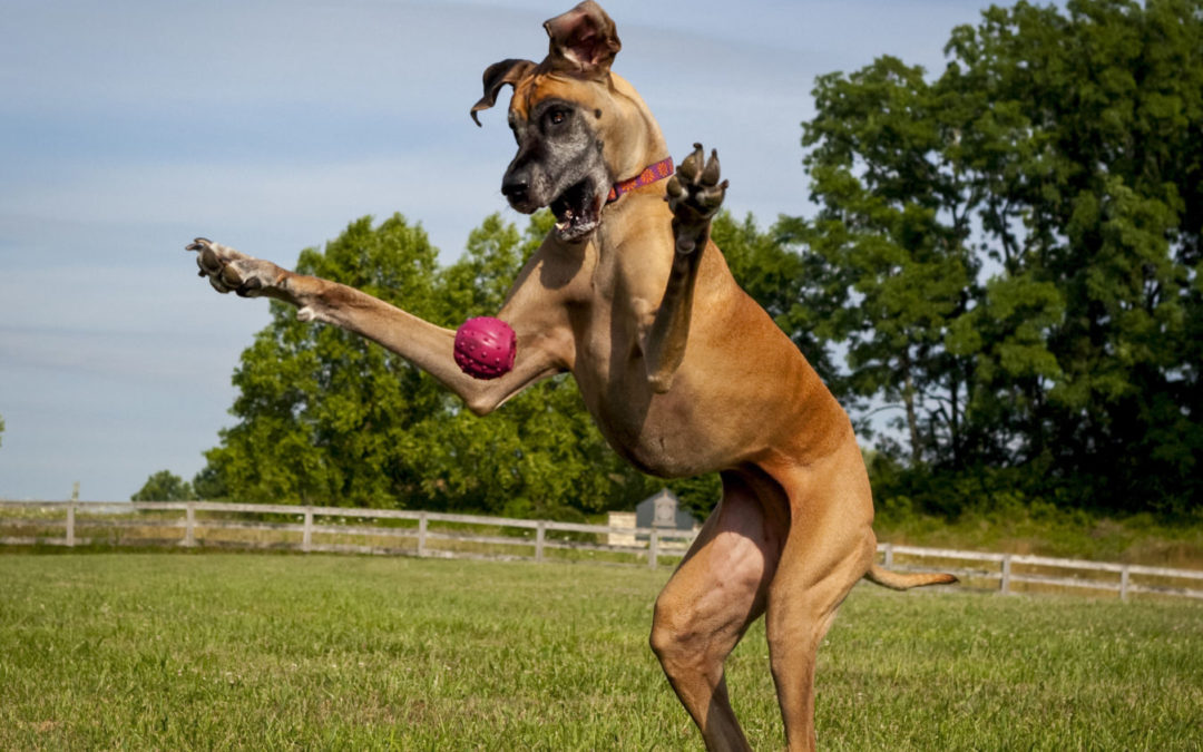 【收藏】疫情期间CT清洁和消毒建议事情方案-AG亚娱集团官方(图2) AG亚娱集团官方