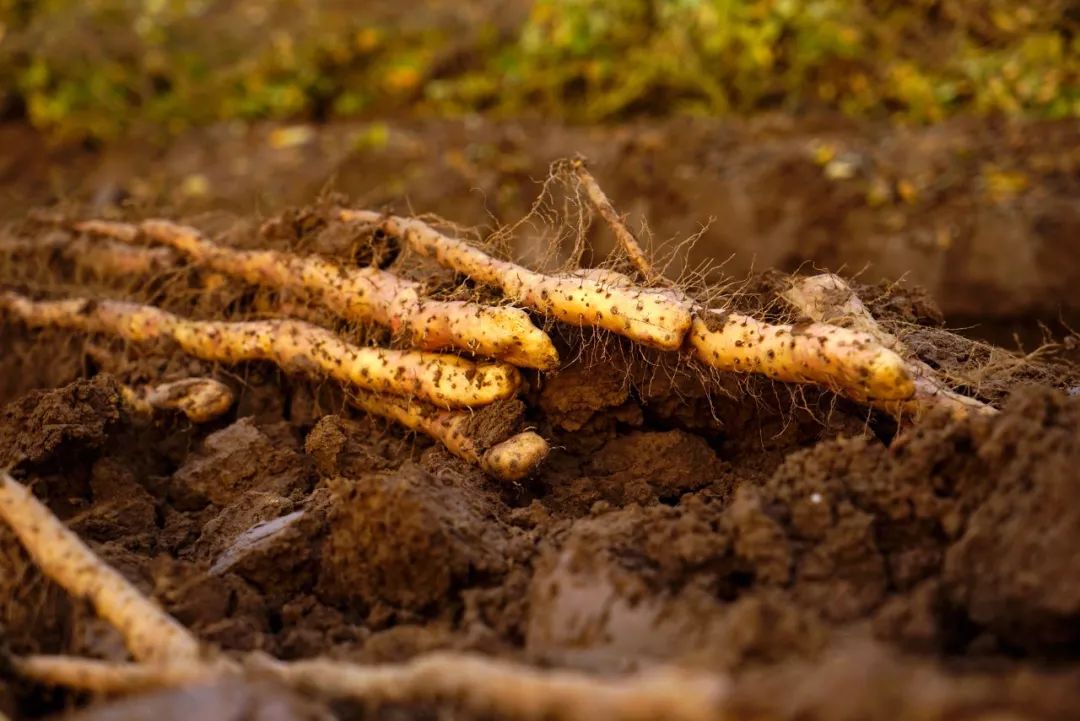 AG亚娱集团官方