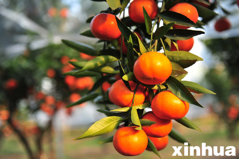 安防男:我把2017年过成了段子……【ag亚娱官网】(图3) AG亚娱集团官方