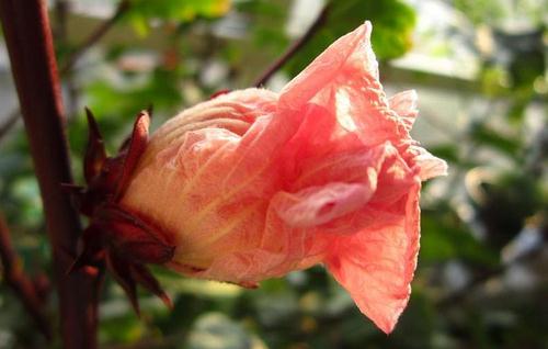 AG亚娱集团官方