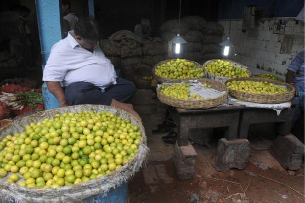 AG亚娱集团官方:博实乐伊莱英语正开启少儿语培的“创造力工程”(图2) ag亚娱官网