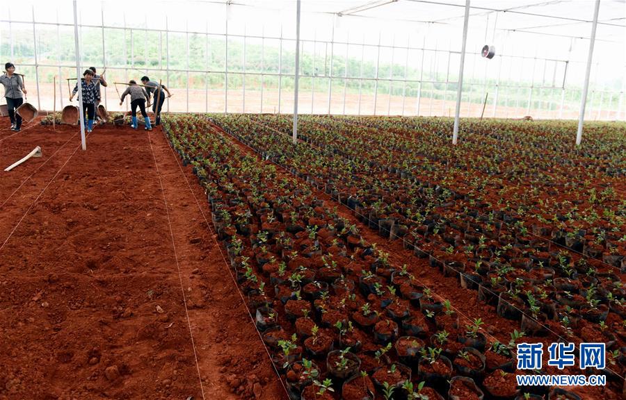 AG亚娱集团_第七届中国电子信息博览会,粤港澳大湾区成电子信息产业瞩目焦点(图3) AG亚娱集团