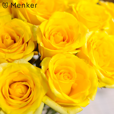 ‘AG亚娱集团官方’阳光少年2015“欢动五洲、点亮梦想”新春盛典成功录制