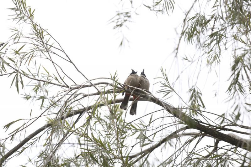 AG亚娱集团官方