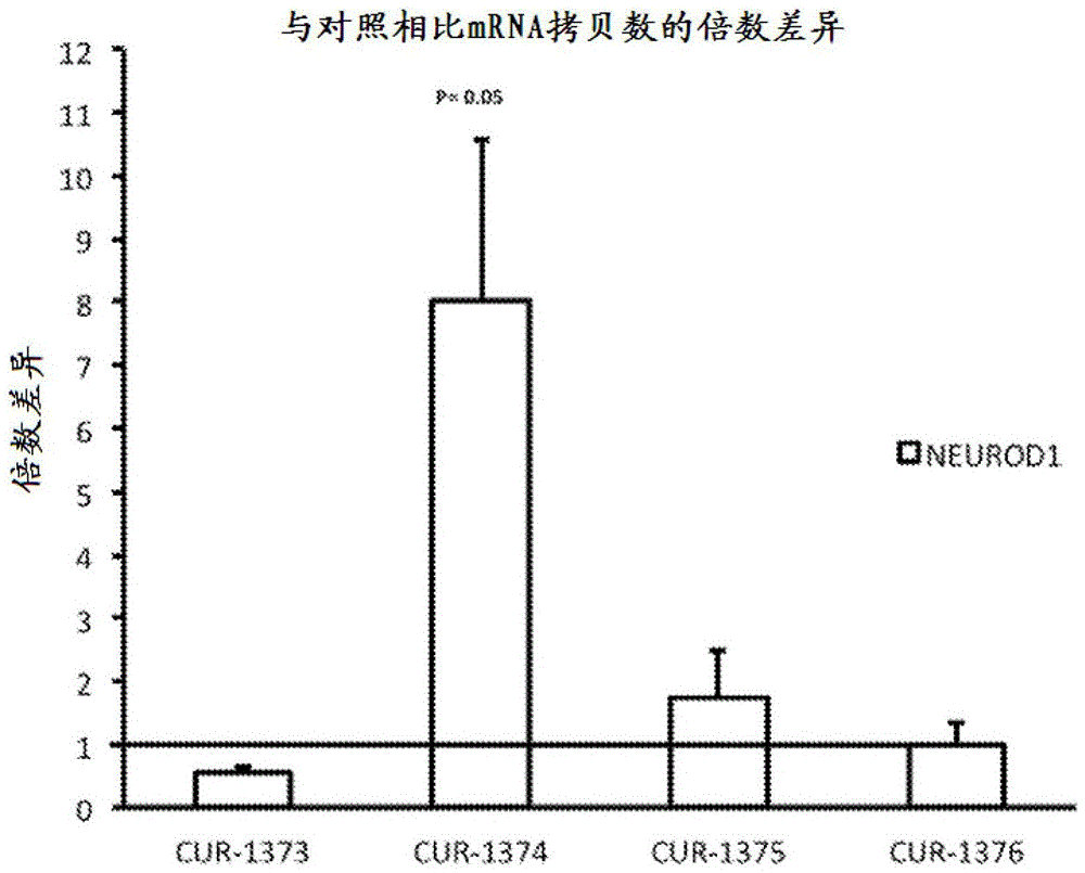 AG亚娱集团|守护者代言5674个烟感113台吸气式4866个灭火器护故宫