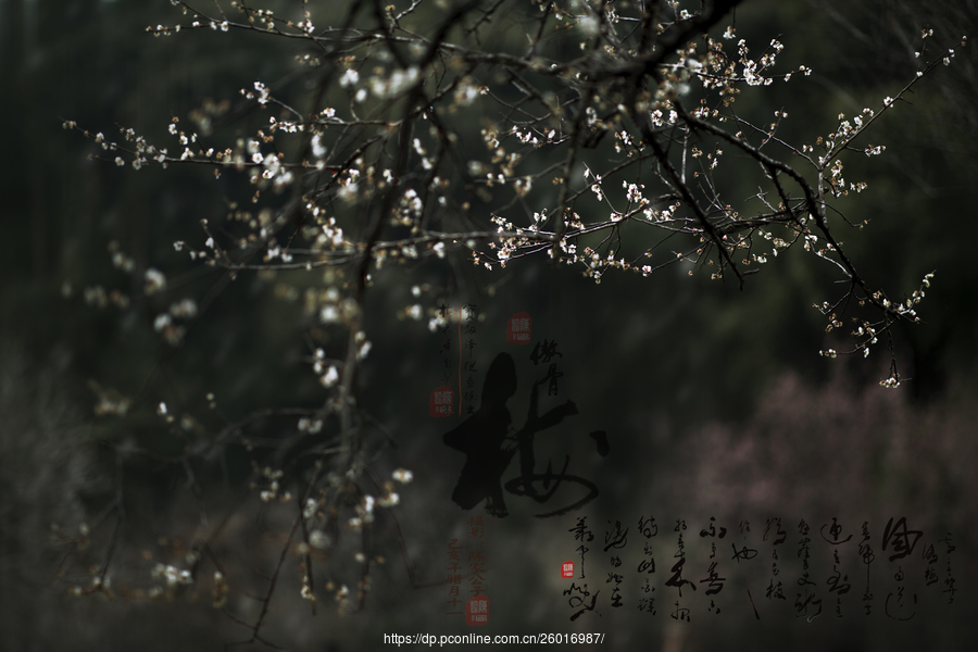 大秦帝国烧尽的“政治理想”,硝烟弥漫过后,终结在了李斯的内心“ag亚娱官网”(图2) AG亚娱集团官方